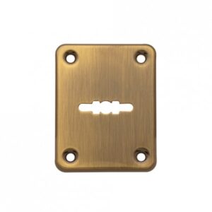 Накладка декоративная Apecs DP-01-S-AB (DP-S-01-AB)
