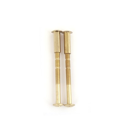 Стяжка винтовая Apecs SCR-M6-60(20)-G (B2B)